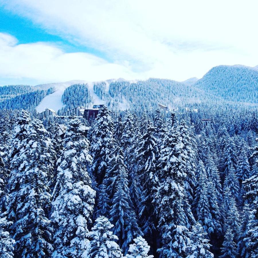 Mountain Paradise In Aparthotel Borovets Gardens Екстер'єр фото