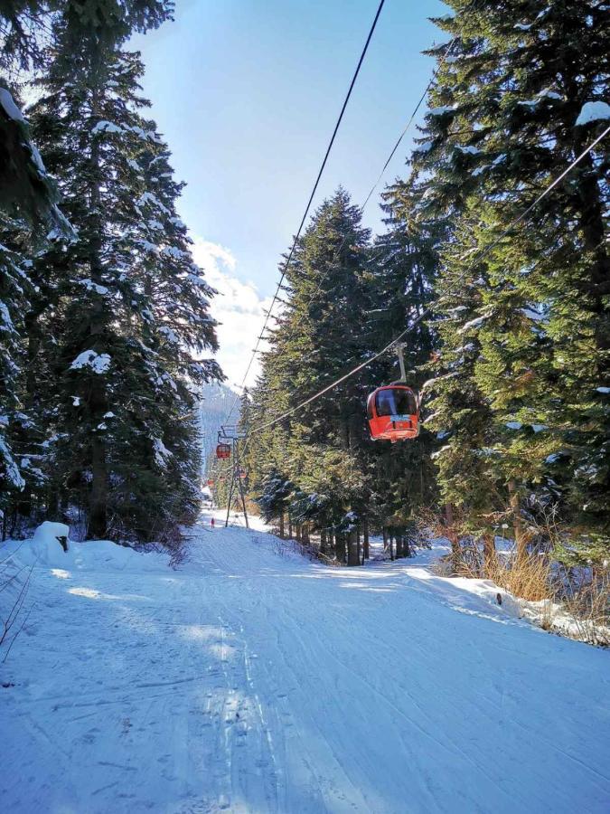 Mountain Paradise In Aparthotel Borovets Gardens Екстер'єр фото