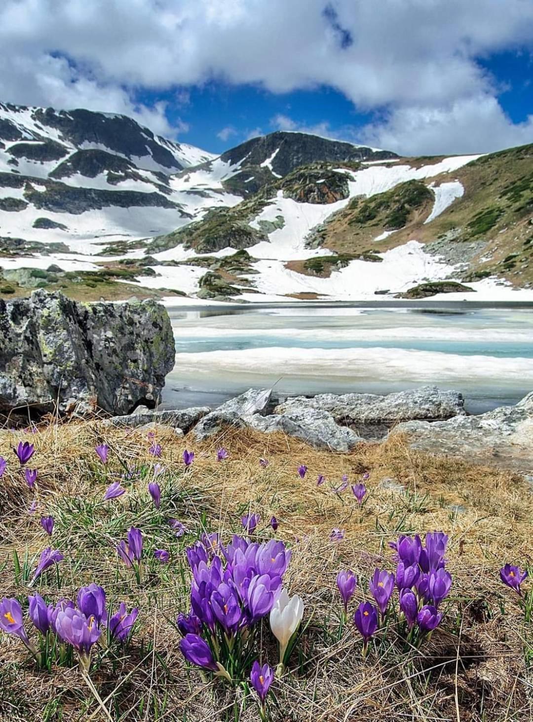 Mountain Paradise In Aparthotel Borovets Gardens Екстер'єр фото